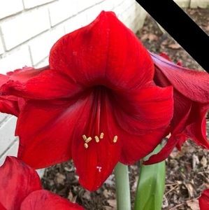 Meet your Posher, Marthajean